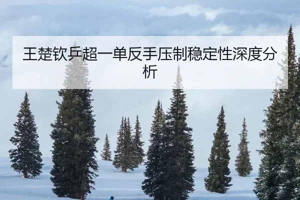 王楚钦乒超一单反手压制稳定性深度分析